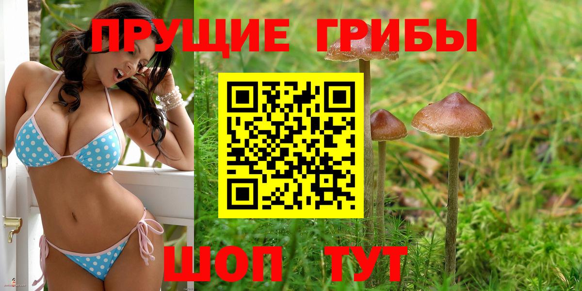Донской  Псилоцибиновые грибы мухоморы  Псилоцибиновые грибы мицелий  Вход с VPN 